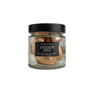 Alternative view of Digger Deg